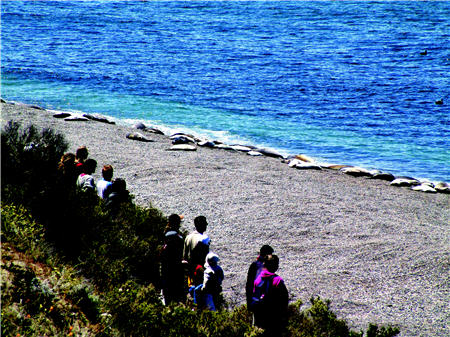 Visitors wait for watching the killer whales ashore to hunt seals on the north cape of Valdes Peninsula