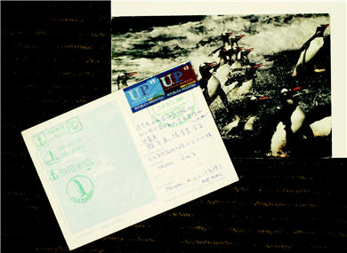 The postcard sent by Chang to his friends in Taiwan from Antarctica