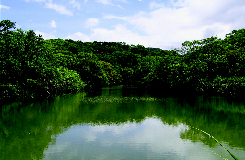 The natural lakes on the farm provide many ecological resources. (provided by Albe Farm)