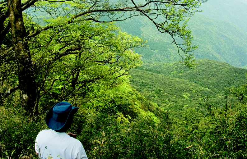 Ecotourism is a travel environmental responsibility.(by Peter Wang)