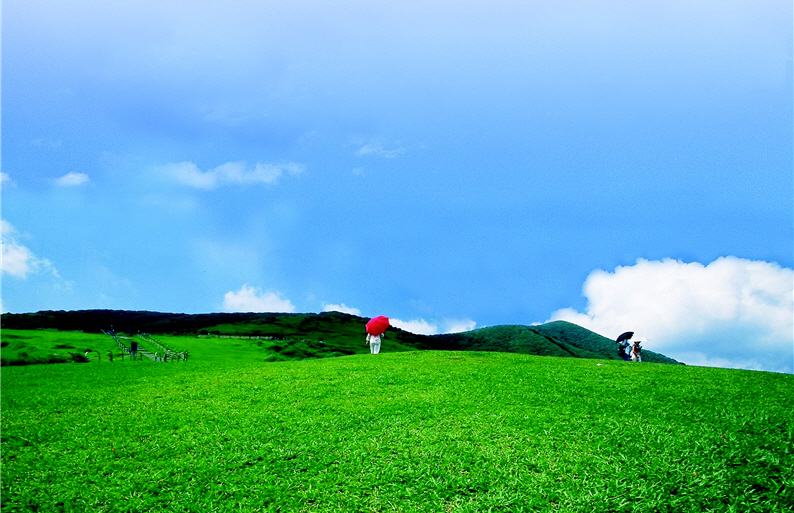 Avisits to YMSNP in Taipei brings you closer to Mother Nature. (by Piyi Lin, provided by YMSNP)