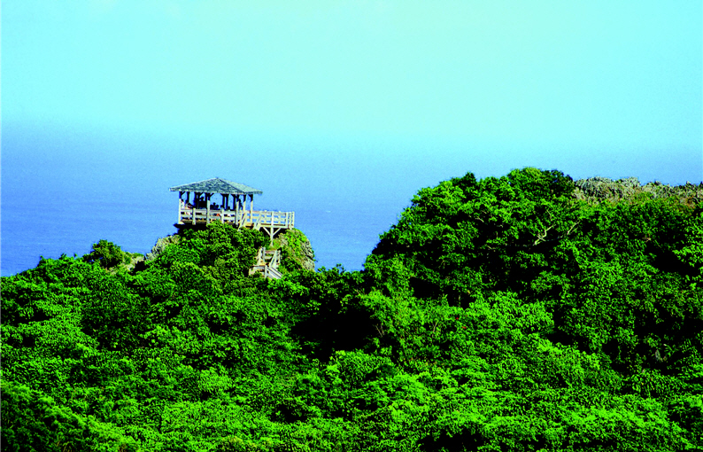 Hanbiting of Sheding Natural Park.(by Chia-huang Lu, provided by KTNP)