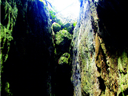 The small Rift Valley, one of the scenic spots of Sheding Nautre Park.(by Chin-wen Wang)