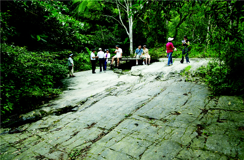 The Linmei Shipan Trail is formed through orogeny. (by Ta-chung Lu)