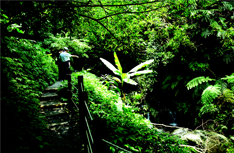 The exit of Shipan Trail is at the top of the 101-step-long stair. (by Ta-chung Lu)
