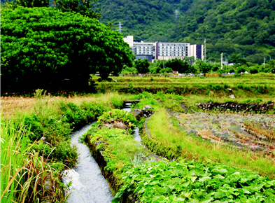 Libaosing Canal has great ecological resource. (by Tachung Lu)