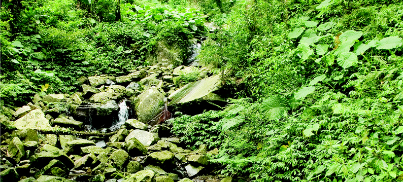 Don't over look the creeks in the valley below when you look up to admire the stretching mountains.(by Peter Wang)