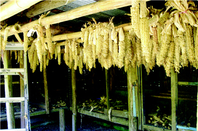 The discarded school of Dali Village. (by Cora Hsu)