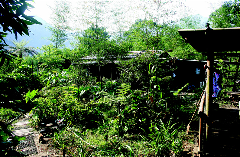 Ya Ya's house was achievement of Co-building House Plan and consisted of bamboo. It is the only house with doorplate in Tong-Li Villages. (by Yung Hsueh)