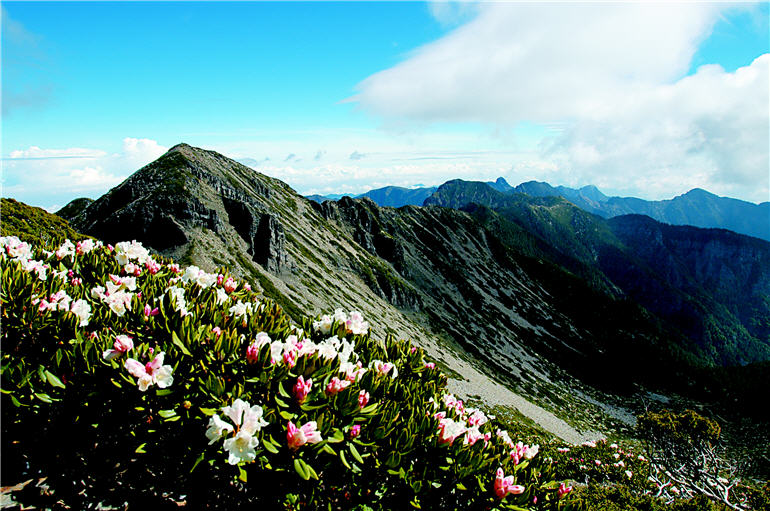 A Culture Trip to National Parks