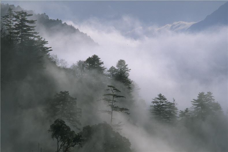 The artistic element lies in the environment. The picture shows the clouds and mists in TNP.