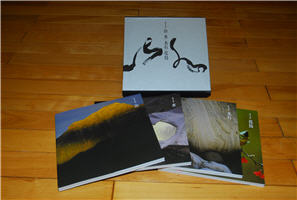 The series of Unnamed Realms was officially published and even won an award for its artistic design in 2009.