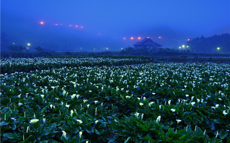 Yuangmingshan is drastically different from Yushan. It is smaller and its mountains, fauna and flora all give people a sense of elegance.