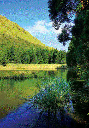 Unlike the textbook-sounding description on the travel guide, Chang's writing