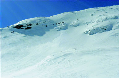 Things easily accomplished in cities become unattainable in Syue Mountain; there were just so many unimaginably diffcult challenges.