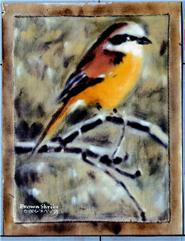 Liu had fulfilled an artist’s social responsibility through his art work and his own charisma. The paintings from left to right are “stray dog,” “A City without Planning,” and “Formosa Tree Frog.”