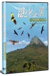 Wings in the Wind - The Story of Gray-faced Buzzard (DVD)
