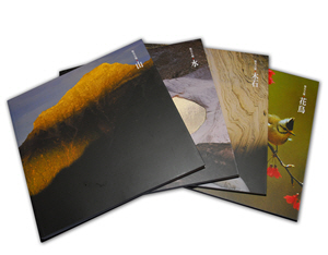 Unnamed Realms: Mountains, Water, Trees and Stones, Flowers and Birds.