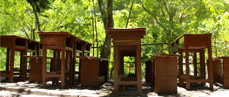 Desks and chairs under a leafy shade, gentle wind breezes from time to time, making one keen to go to school.