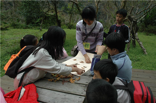 Group members picked up fallen leaves of different shapes from the hiking trail and completed the leaf bingo.In the process, the children understood the various and diversified trees in the forest