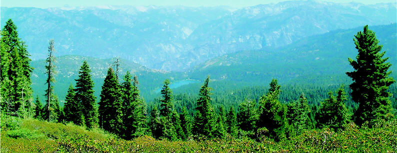 The panoramic point at the Grant Grove with the grand mountain views; Mt. Goddard can be seen from here.