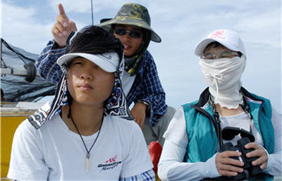 It was difficult to find a dolphin in the sea.