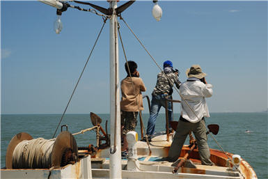 It was difficult to find a dolphin in the sea.