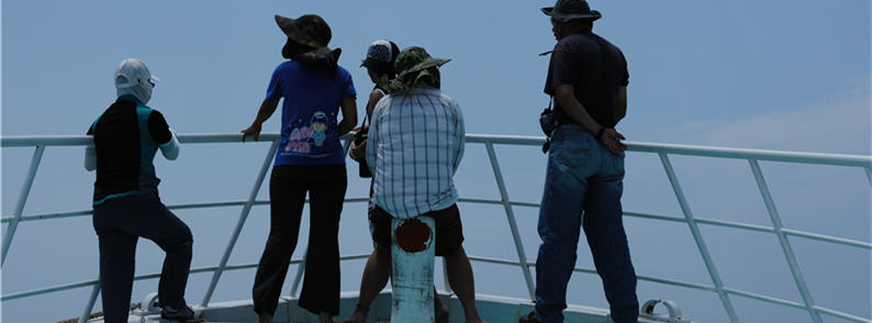 Each adventure required nearly 5 hours of exposure to the sultry sun to spot the precious creature.