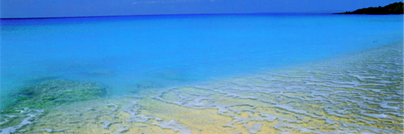 Without industrial pollution and turbid rivers, the pristine Sand Island (or Shadao) is a young maiden with no experience of the outside world. Without putting on any make-up, she has a stunning look. 