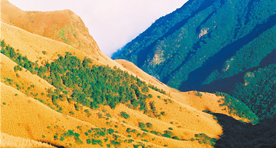 What provides sustainability for life is neither industrial development nor high technology, but forestation and soil retention. / Photo provided by YMSNP, taken by Dong-qin Cai