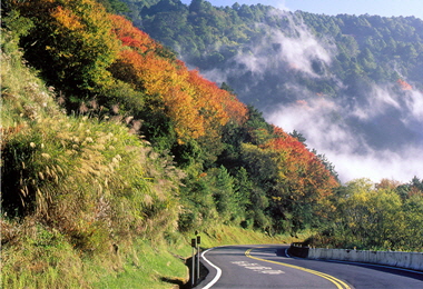 The suspension of the construction of the New Central Cross-Island Highway helped preserve Yushan National Park, the wildlife paradise. The government has to carefully weigh the pros and cons of development and conservation. / by Jinyuan Dai