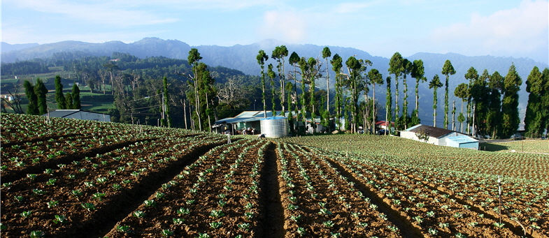 The agricultural output based on massive mountain exploitation such as growing mountain crops and tea will never compensate for losses due to debris flows and mudslides. / by Zhenyi Zheng