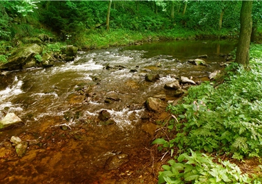 Minimizing human interference and maintaining good water and soil conservation are keys to the sustainable development of our national land. / by Zhi-ping Chen