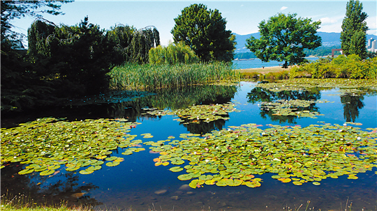 Ecological thinking and living is everywhere in our life,each project and construction method should incorporate ecological thinking./photo provided by Monica Kuo