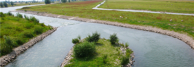 To manage a flood plain, sandbanks in the river should be maintained and high riverbanks should be minimally used through ecological engineering.