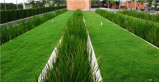 In roof greening, besides green roof engineering techniques being applied, strips of wetlands many also be built for rainwater retention to construct rooftop biotopes.