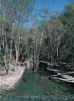 Yongchuan Pond in Shei-Pa National Park serves as the conservation shelter for Formosan Landlocked Salmon. / Photo provided by SPNP; taken by Cheng-hao Yu