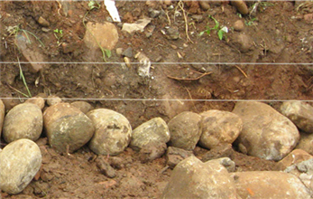 Large gravels are laid flat as the first layer, on which smaller ones are placed to fill up vacancies.