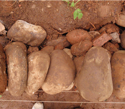 When piling pebbles, smaller ones that are densely piled should be placed behind large ones. After that, large pebbles are placed on top of the pile to increase firmness and stability.