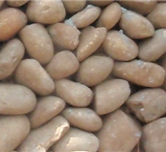 The herringbone technique allows for greater adhesion and increases friction.