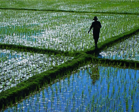 People should attach greater importance to environmental ethics and reasonably use the resources provided by Nature so as to live a sustainable life./ by Stephane