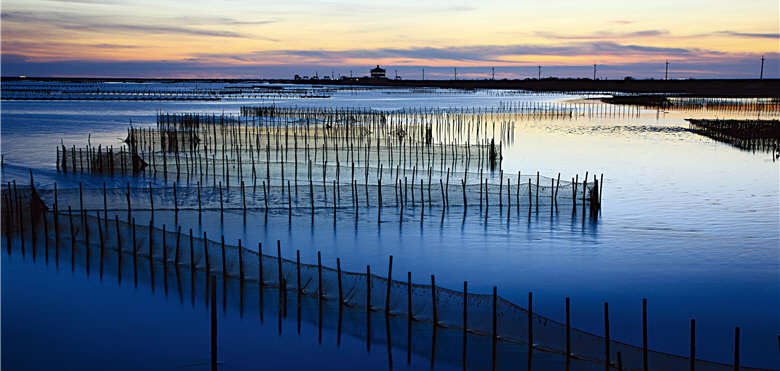 Aquaculture industry supports the economic development of the southwest coast and creates the habitat for migatory birds, both of which highly valued by Taijiang National Park. Here people can enjoy the views of fish ponds, migatory birds, and beautiful sunset. / by Levison