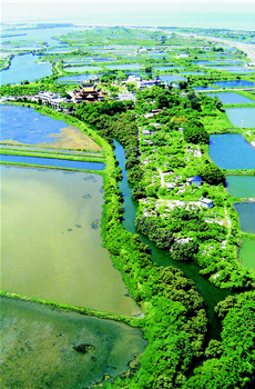Once a sea of dancing waves in the 17th century, Taijiang witnessed the land formation there as time changed almost everything. / by Cha-lin Zhao