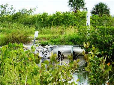 Biologists use dikes and culverts to control the flow of water so as to deter mosquitoes from laying eggs. During the breeding seasons they open the culverts for a smooth flow of water and close them during non-breeding seasons. The picture shows the gate that controls the water flow./ by Ling Lin.