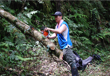 Park rangers repair mountain cabins, set up road signs, remove fallen tress, set up aluminum ladders, and clear paths./ by Buya