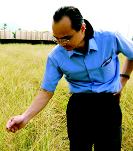 Mr. Chiu-kai Wey of the Agricultural Research Institute (ARI) pointed at the only wild rice field in Taiwan that has been existing for over 100 million years./ by Chih-hao Huang