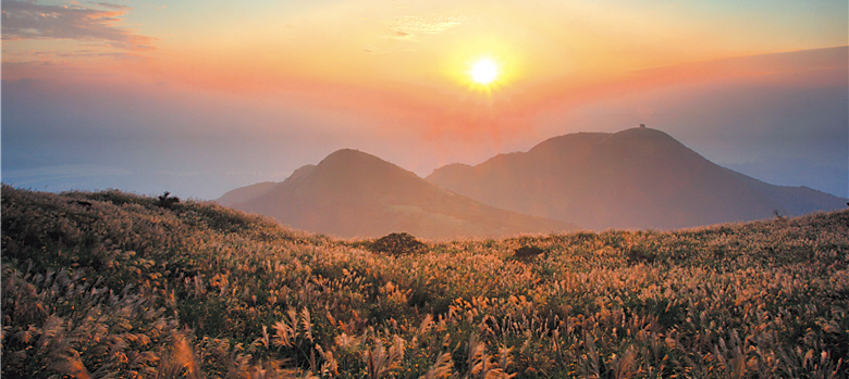 Silvergrass in an autumn sunset cast a dream-like, flaming-red charm for Datun Mountain. / Photo taken by Fu-kang Xu.