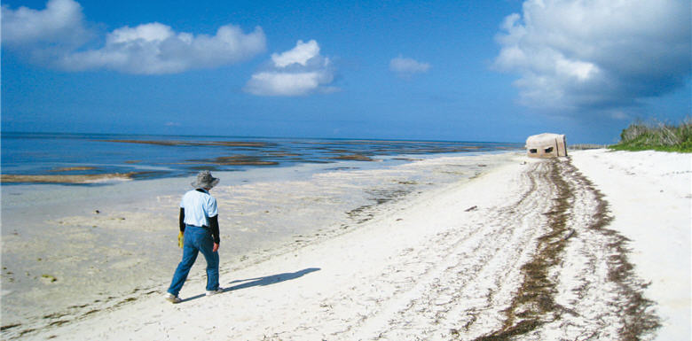 Coastal patrol is one of the important duties of the researchers. / by Hui-ru Chen