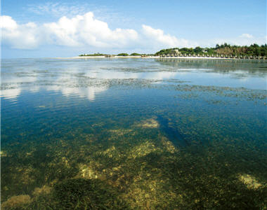 The lagoon mouth of Dongsha Island. In sunny days, the water surface of the lagoon shines like a mirror. The beauty of Dongsha is achieved by many people's full efforts. / by Hui-ru Chen