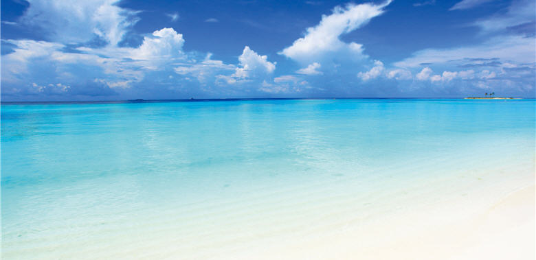 Once the marine environments changes, human beings will face unpredictable adversities. “The battle between the green and the blue,” the land's defense against the invading oceans, is the issue that humans should take seriously. / by Kristian